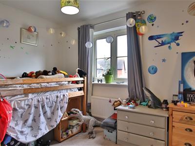 Picture 5